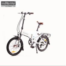 E bicicleta 36V250W baixo preço bicicleta elétrica / 20 &#39;&#39; verde mini bicicleta dobrável e